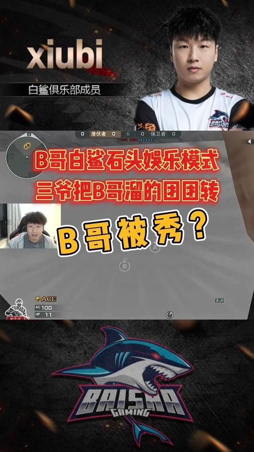 听b哥爆料白鲨视频,揭秘背后故事与精彩瞬间  第2张
